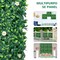 Artificial Daisy Hedge Panels, 12 pcs 20 x 20 Inch Privacy Fence